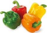 Paprika im Angebot bei REWE in Regensburg Paprika Angebote von REWE Regional bei REWE Regensburg für 3,99 €
