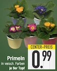 Primeln von  im aktuellen EDEKA Prospekt für 0,99 €