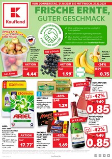 Kaufland Prospekt für Norden, Ostfriesl mit 42 Seiten Kaufland Prospekt für Norden, Ostfriesl: JETZT KRÄFTIG SPAREN!, 42 Seiten, 20.10.2021 - 27.10.2021