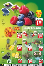 Himbeeren Angebot im aktuellen E center Prospekt auf Seite 5
