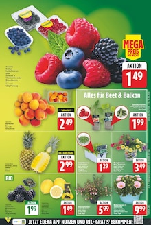Obst im aktuellen E center Prospekt (Berlin) Obst im E center Prospekt "Aktuelle Angebote" mit 27 Seiten (Berlin)