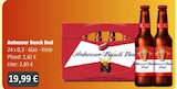 GetränkeLand Mayer - Anheuser Busch Bud Angebot im Prospekt Anheuser Busch Bud bei GetränkeLand Mayer im Prospekt "" für 19,99 €