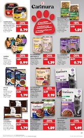Wild Angebote im Prospekt "Aktuelle Angebote" von Kaufland auf Seite 37