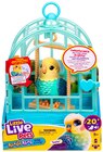 Vogel von Little Live Pets im aktuellen Rossmann Prospekt für 17,99 €