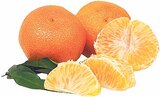 Satsumas Mandarinen im V-Markt Prospekt Satsumas Mandarinen von im aktuellen V-Markt Prospekt für 1,59 €