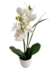Orchidée artificielle en pot - Norma à Colmar Orchidée artificielle en pot en promo chez Norma Colmar à 11,99 €