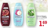 Color Glanz Shampoo Angebote von Schauma bei E center Mainz für 1,69 €