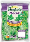 Salade - BONDUELLE dans le catalogue Super U