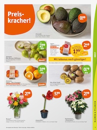 Garten Angebot im aktuellen tegut Prospekt auf Seite 7