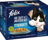Aktuelle Katzenfutter Angebote bei Globus-Baumarkt in Magdeburg Aktuelles Katzenfutter Angebot bei Globus-Baumarkt in Magdeburg ab 3,99 €