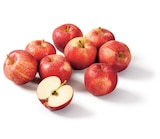 Lidl Saint-Amand-les-Eaux - Promo Pomme Promo Pomme à 0,99 € dans le catalogue Lidl à Saint-Amand-les-Eaux