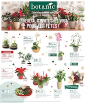 Catalogue Jardineries & Animaleries Botanic en cours à Saint-Genest-Lerpt et alentours, "LE VÉGÉTAL S'INVITE CHEZ VOUS POUR LES FÊTES !", 2 pages, 11/12/2024 - 24/12/2024