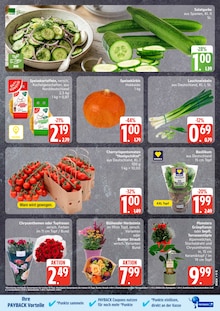 Zimmerpflanzen im EDEKA Prospekt "Top Angebote" mit 29 Seiten (Hamburg)