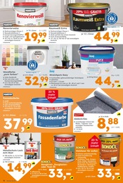 Aktueller Globus-Baumarkt Prospekt mit Farbe, "Immer eine Idee besser", Seite 12