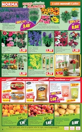 Promos Gâteau dans le catalogue "Votre Discounter Régional" de Norma Gâteau en promo dans le catalogue Norma à la page 4