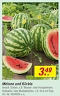 Melone und Kürbis für 3,49 € bei toom Baumarkt im Angebot Melone und Kürbis im aktuellen toom Baumarkt Prospekt
