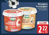 Fruchtjoghurt im aktuellen Prospekt bei E center in Hemer