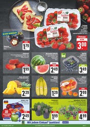 Blumen im EDEKA Prospekt in Amberg Aktueller EDEKA Prospekt mit Blumen, "Wir lieben Lebensmittel!", Seite 11