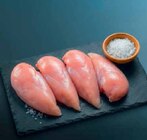Hähnchen-Brustfilet Angebote bei Netto Marken-Discount Freiberg für 1,11 €