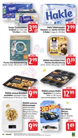Aktueller E center Prospekt mit Katzenfutter, "Aktuelle Angebote", Seite 41