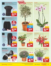 Damen Bademode im Netto Marken-Discount Prospekt in Frankfurt Aktueller Netto Marken-Discount Prospekt mit Damen Bademode, "Aktuelle Angebote", Seite 43