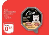 Hundenassfutter Angebote von Cesar bei GLOBUS Homburg für 0,75 €