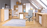 Regal "Peene" im Angebot bei Sconto SB in Stralsund Regal "Peene" Angebote bei Sconto SB Stralsund für 59,95 €
