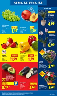 Paprika im Lidl Prospekt "LIDL LOHNT SICH" mit 77 Seiten (Magdeburg)
