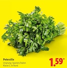 Petersilie im aktuellen Lidl Prospekt