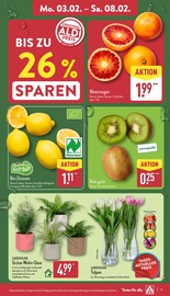 Aktueller ALDI Nord Prospekt mit Tulpen, "Aktuelle Angebote", Seite 3