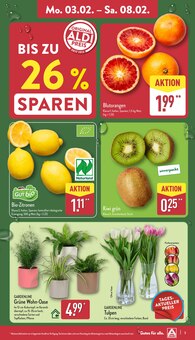 Garten Angebot im aktuellen ALDI Nord Prospekt auf Seite 3