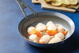 Noix de coquille Saint-Jacques Pecten maximus - U - Super U à Montpellier Noix de coquille Saint-Jacques Pecten maximus - U en promo chez Super U Montpellier à 10,90 €