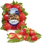 Erdbeeren Angebote von SanLucar bei REWE Ludwigshafen für 3,49 €