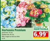 Hortensia Premium en promo chez Norma Nancy à 6,99 €