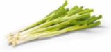 Angebot im Netto Marken-Discount Senden Prospekt Netto Marken-Discount Senden Prospekt mit im Angebot fĂŒr 0,59 âŹ