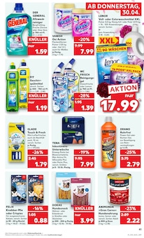 Felix Katzenfutter im Kaufland Prospekt "Aktuelle Angebote" mit 62 Seiten (Berlin)