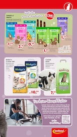 Katzenstreu im Zookauf Prospekt in Willich Aktueller Zookauf Prospekt mit Katzenstreu, "Sonne, Spaß und tierische Angebote", Seite 3