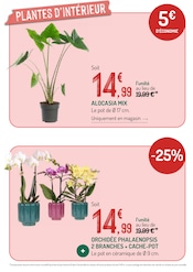 Promos Cache-Pot dans le catalogue "LES OFFRES DU MOMENT À NE PAS MANQUER" de Botanic à la page 9