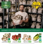Pilze im Marktkauf Prospekt in Reutlingen Aktueller Marktkauf Prospekt mit Pilze, "Aktuelle Angebote", Seite 10