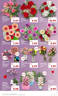 Schnittblumen im Kaufland Prospekt "Aktuelle Angebote" mit 52 Seiten (Gelsenkirchen)