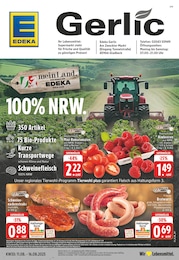 EDEKA Prospekt für Gelsenkirchen: "Aktuelle Angebote", 24 Seiten, 11.08.2025 - 16.08.2025