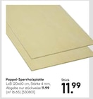 Pappel-Sperrholzplatte im aktuellen Hellweg Prospekt