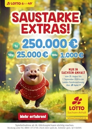 Der aktuelle Lotto Sachsen-Anhalt Prospekt Saustarke Extras!