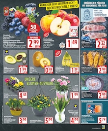 Fisch im EDEKA Prospekt "Aktuelle Angebote" mit 19 Seiten (Potsdam)