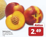 Nektarinen bei famila Nordwest im Oldenburg Prospekt für 2,49 €
