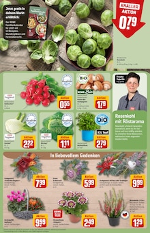Blumen im REWE Prospekt "Dein Markt" mit 31 Seiten (Augsburg)