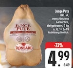 Junge Pute Angebote von Ronsard bei EDEKA Leipzig für 4,99 €