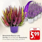 Besenheide Beauty Lady Six-Mix Angebote bei E center Offenburg für 5,99 €