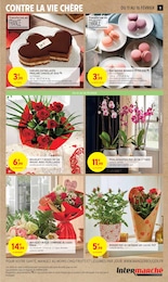 Offre Fleur En Pot dans le catalogue Intermarché du moment à la page 11