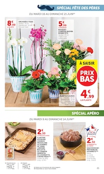 Promotion Plante Verte dans le prospectus Super U, valable du 09/06/2026 au 21/06/2026 Promo Plante Verte dans le catalogue Super U du moment à la page 21